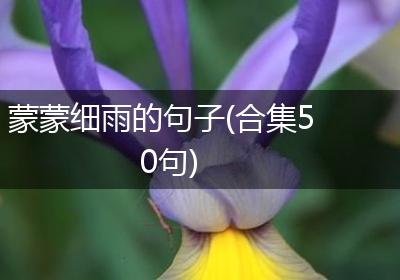 蒙蒙细雨的句子(合集50句)