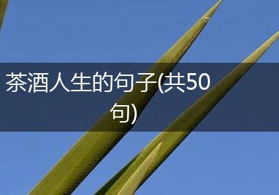 茶酒人生的句子(共50句)