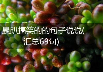 累趴搞笑的的句子说说(汇总69句)