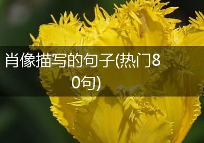 肖像描写的句子(热门80句)