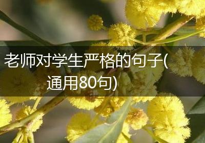 老师对学生严格的句子(通用80句)