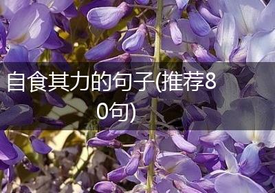 自食其力的句子(推荐80句)
