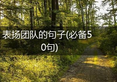 表扬团队的句子(必备50句)