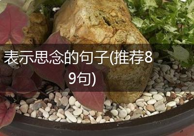 表示思念的句子(推荐89句)