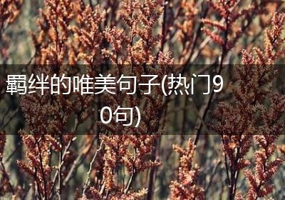 羁绊的唯美句子(热门90句)