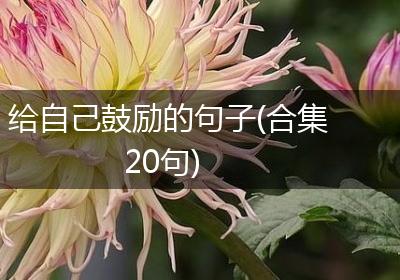 给自己鼓励的句子(合集20句)