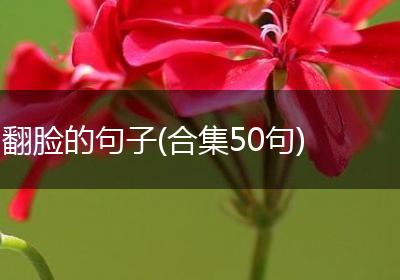 翻脸的句子(合集50句)
