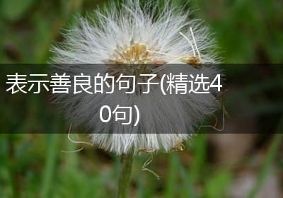 表示善良的句子(精选40句)