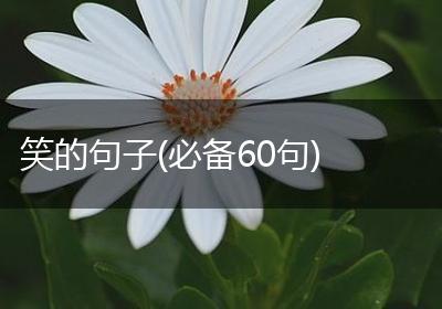 笑的句子(必备60句)