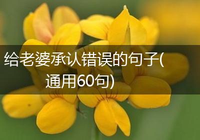 给老婆承认错误的句子(通用60句)