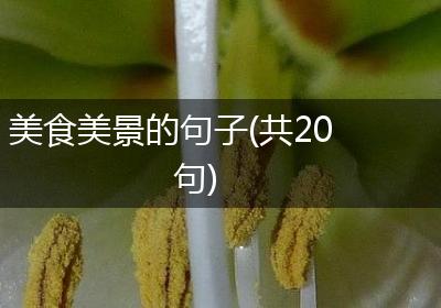 美食美景的句子(共20句)