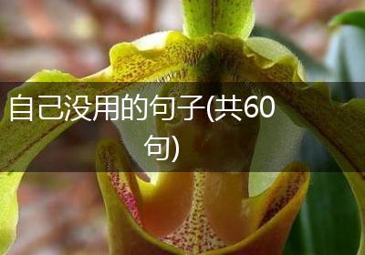 自己没用的句子(共60句)