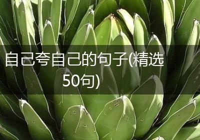 自己夸自己的句子(精选50句)