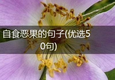 自食恶果的句子(优选50句)