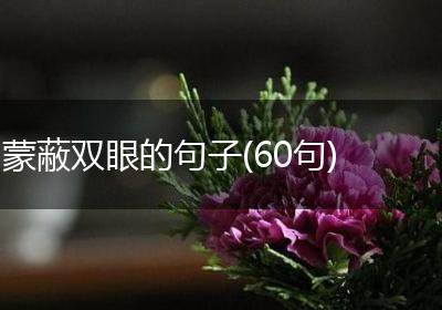 蒙蔽双眼的句子(60句)