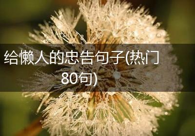 给懒人的忠告句子(热门80句)