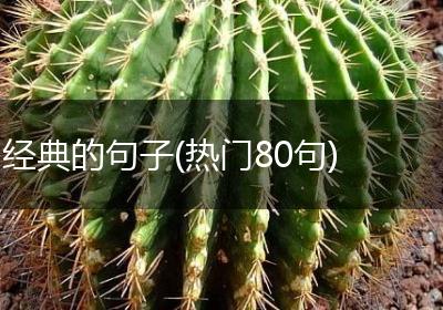经典的句子(热门80句)