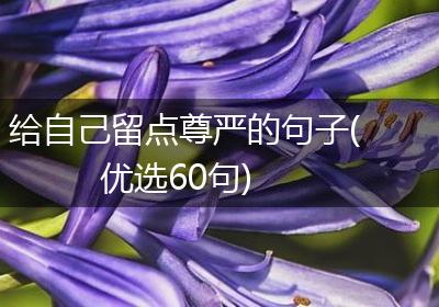 给自己留点尊严的句子(优选60句)