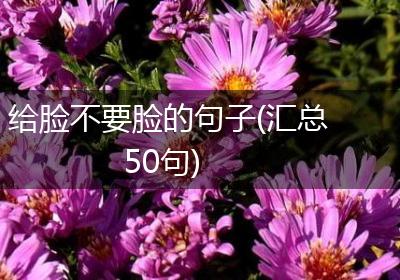 给脸不要脸的句子(汇总50句)