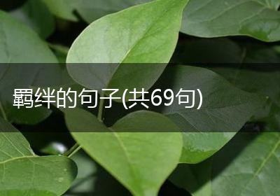 羁绊的句子(共69句)