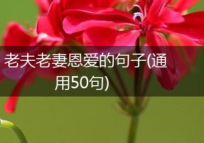 老夫老妻恩爱的句子(通用50句)