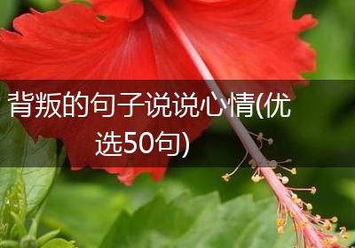 背叛的句子说说心情(优选50句)