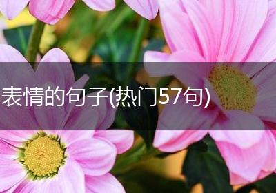 表情的句子(热门57句)