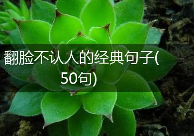 翻脸不认人的经典句子(50句)