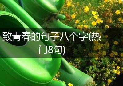 致青春的句子八个字(热门8句)