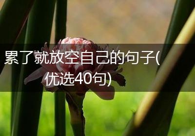 累了就放空自己的句子(优选40句)