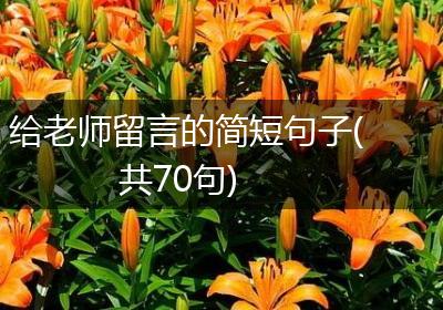 给老师留言的简短句子(共70句)