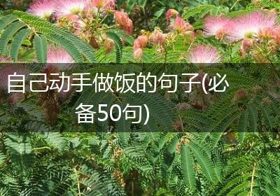 自己动手做饭的句子(必备50句)