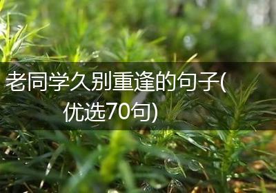 老同学久别重逢的句子(优选70句)