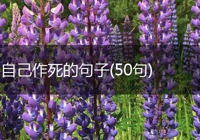 自己作死的句子(50句)