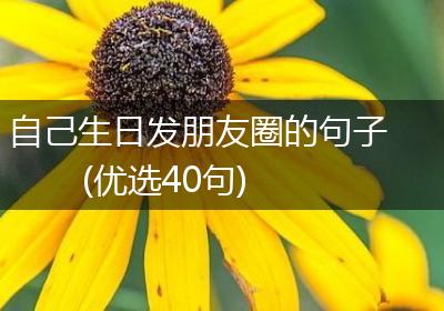 自己生日发朋友圈的句子(优选40句)