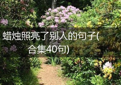 蜡烛照亮了别人的句子(合集40句)