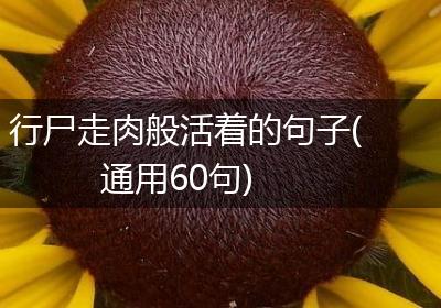 行尸走肉般活着的句子(通用60句)