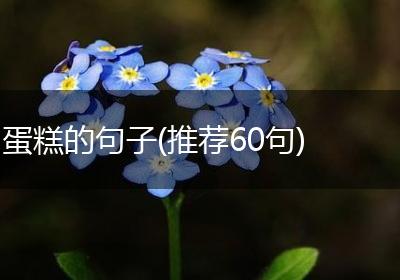 蛋糕的句子(推荐60句)
