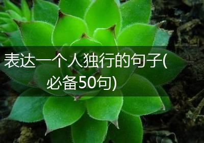 表达一个人独行的句子(必备50句)