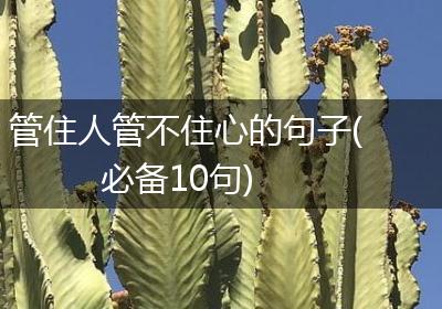 管住人管不住心的句子(必备10句)