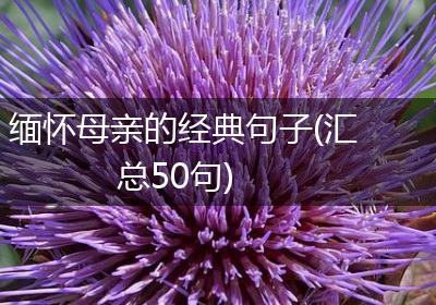 缅怀母亲的经典句子(汇总50句)