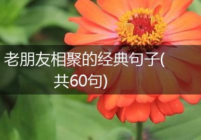 老朋友相聚的经典句子(共60句)