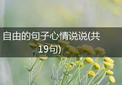 自由的句子心情说说(共19句)