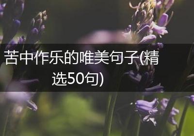 苦中作乐的唯美句子(精选50句)