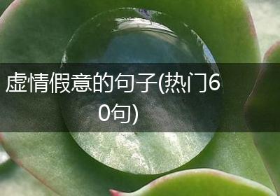 虚情假意的句子(热门60句)