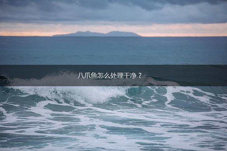 八爪鱼怎么处理干净？,第1张