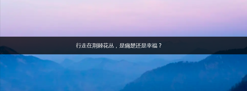 行走在荆棘花丛，是痛楚还是幸福？,第1张