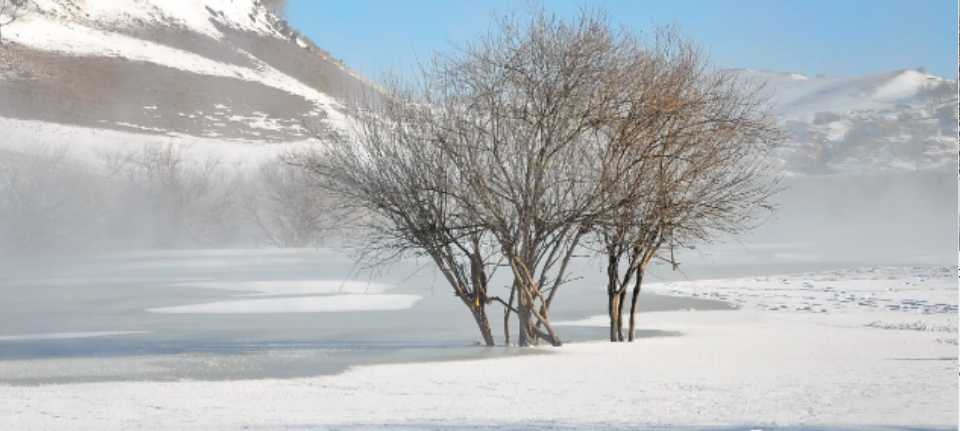 记忆中的冬天与雪,第1张