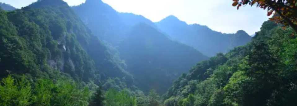 行走在荆棘花丛，是痛楚还是幸福？,第2张