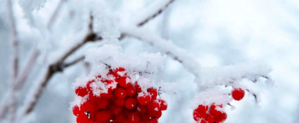 冬天就是要靠近雪,第1张